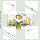 Hodge - Sense Inversion