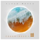 Equanimous, Nok Nok - Indigo Dreamer