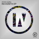 Static Guru - Incognita