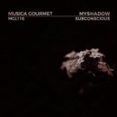 MyShadow - High