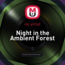 Reso Nance - Night in the Ambient Forest (Original)