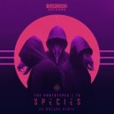 The Prototypes & TC - Species