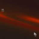 EANP - Flashfoward