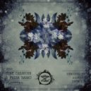 Tony Casanova & Frida Darko - Flopster (DETMOLT Remix)