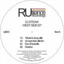 DJ Steaw feat Slikk Tim - Go Back
