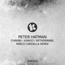 Peter Hatman - Chakra