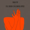 Panik Pop, NUSJA - Still (Robin Schellenberg Remix)