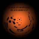 Surge In Madness - Fox