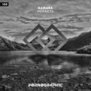 Kamara - Everything is Changed