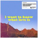 Foreigner - I Want To Know What Love Is