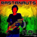 Rastanauts - Identify