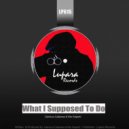 Gianluca Calabrese, Vito Vulpetti - What I Supposed To Do