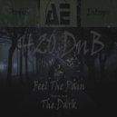 H20 DnB - Feel The Pain