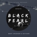 Beat Crusher, DJ Tiger - Aliya