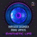 Transient Disorder & Mono Sapiens - Universal Consciousness (Original Mix)