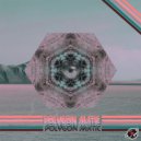 Polygon Matic - When You Catch The Fire