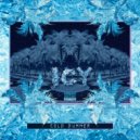 I C Y - Coldchella