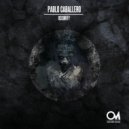 Pablo Caballero - Optimized
