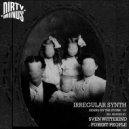 Irregular Synth - 3rd Dimension