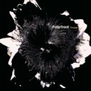 Polarfront - Voyage (Ambient Version)