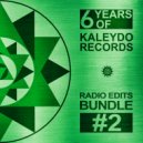 Alex Raider, Steve Moro - Industrial Funk (Radio Edit)