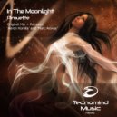 In The Moonlight - Pirouette