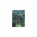 Mindfulness Healing BGM Project - History & Stress Free (Original Mix)