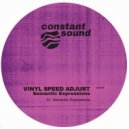 Vinyl Speed Adjust - Semantic Expressions