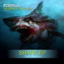 Wildberg - Shark