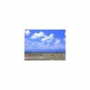 Mindfulness Healing BGM Project - Picture & Coping Skills