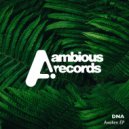 DNA (SA) - Midnight