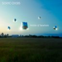 Sonic Oasis feat. S.Schultz - I Take The Call