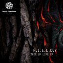 F.I.E.L.D.Y - The Dragon (Original Mix)