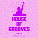 Vibrant Groove Project - Garuda