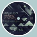 Dirty Culture - How Can I Paint This Picture (Original Mix)