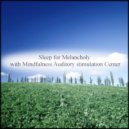 Mindfulness Auditory Stimulation Center - Fluid & Hearing