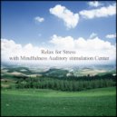 Mindfulness Auditory Stimulation Center - Jaspers & Nervousness (Original Mix)