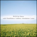 Mindfulness Auditory Stimulation Center - Hugo & Communication (Original Mix)