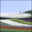 Mindfulness Auditory Stimulation Center - Opal & Healing
