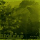 Big Leaf feat. C Boogie, KS Tha Kraftzman - We\'re Here (Original Mix)