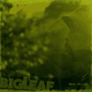 Big Leaf feat. EverWonder, C Boogie - Word Play (Think About That)