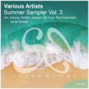 Javad Sedigh - T.B.S (Original Mix)
