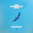 Bcee & Charlotte Haining & Tempza - In the Moment