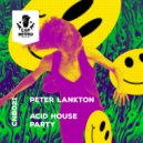 Peter Lankton - Strobelights