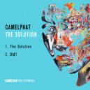 CamelPhat - DMT