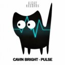 Cavin Bright - Pulse