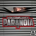 Non Compliance - Extravagant