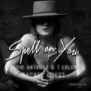 David Anthony, T Colon Featuring Rachel Guest - Spell On You (Witches Brew Mix)