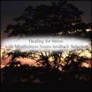 Mindfulness Neuro Feedback Selection - Saturday & Relaxation