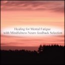 Mindfulness Neuro Feedback Selection - Granite & Acoustic